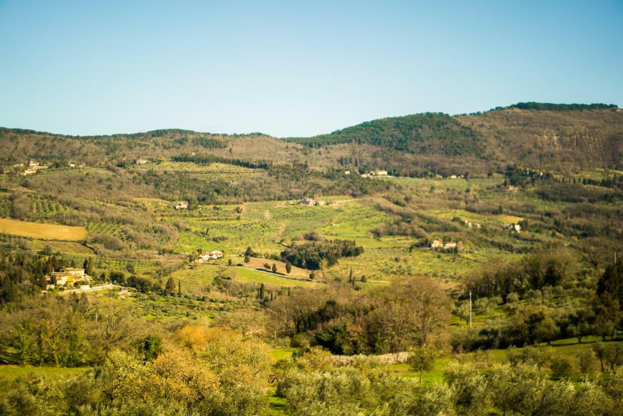 Il Trufolo * Pratolino