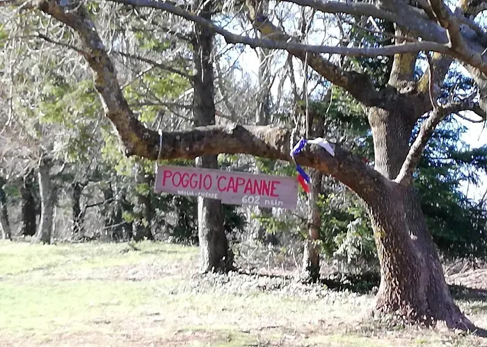 Villa Il Trufolo