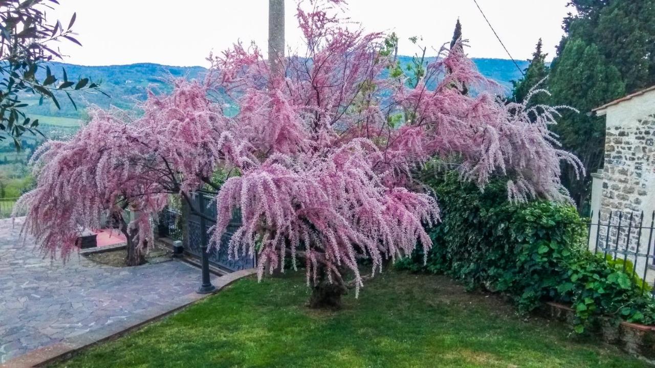 Villa Il Trufolo *